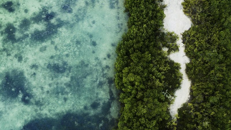 Hoteles frente al estrés hídrico: acciones para reducir el consumo de agua