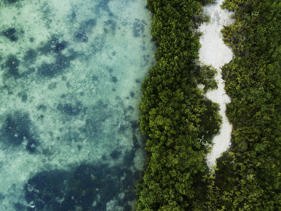 Hoteles frente al estrés hídrico: acciones para reducir el consumo de agua