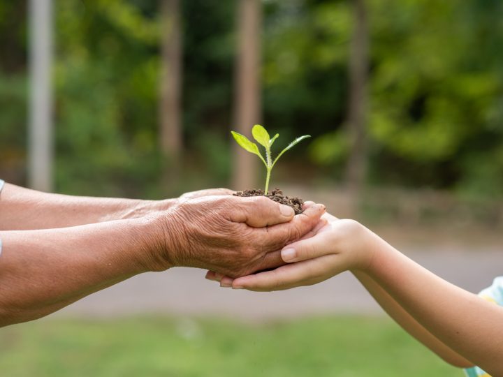 Reducción del 90% en la generación de residuos: Kimberly-Clark y su testimonio de sostenibilidad en Latinoamérica