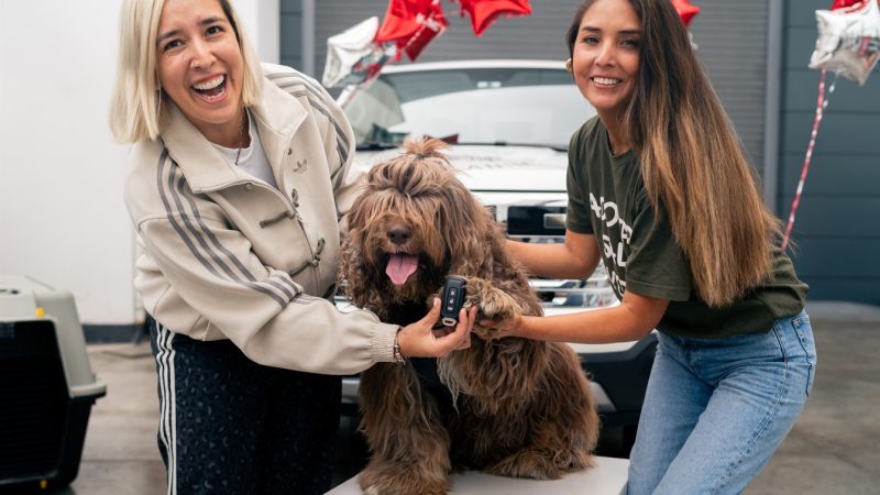 JMC fortalece su compromiso social y entrega una Grand Vigus a su embajadora de marca Tifa Grados para impulsar el rescate animal
