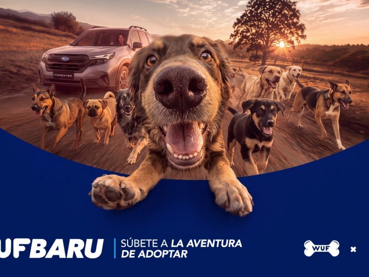 ¿BUSCAS ADOPTAR UN PERRO? “WUFBARU” TE ACERCA AL PRÓXIMO INTEGRANTE DE TU FAMILIA