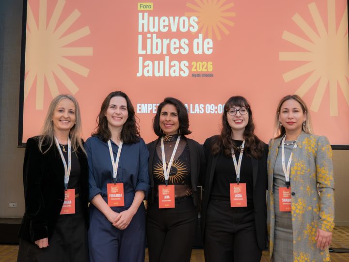Empresas y academia impulsan la transición hacia el modelo libre de jaula en la industria del huevo