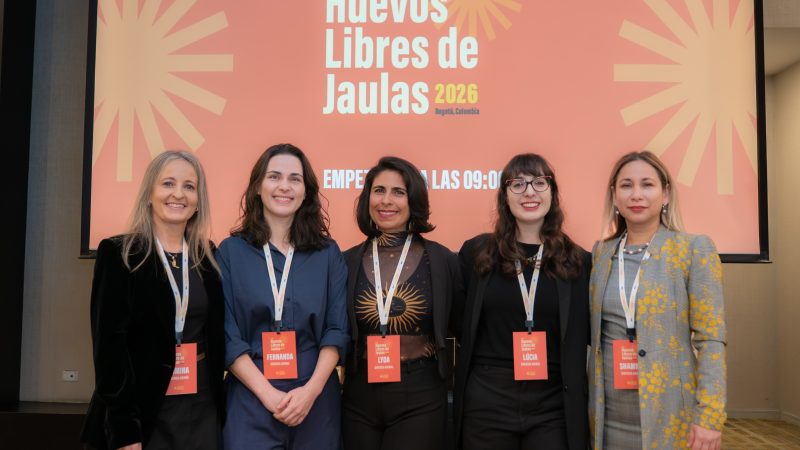 Empresas y academia impulsan la transición hacia el modelo libre de jaula en la industria del huevo
